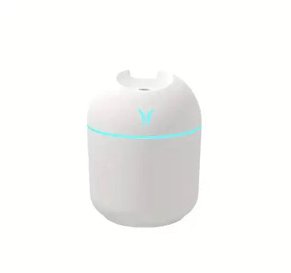 Compact Aromatherapy Mist USB Humidifier